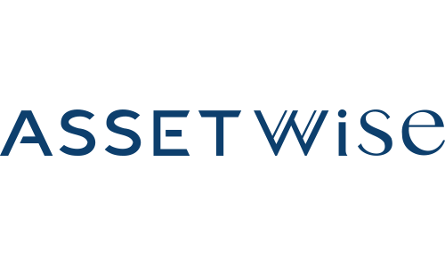 asset wise